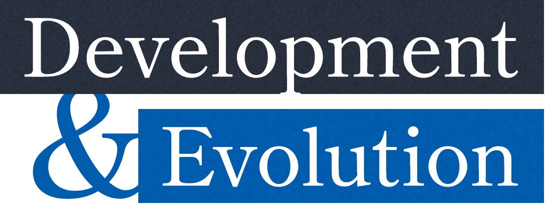 Development&Evolution