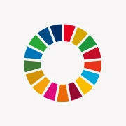 SDGs